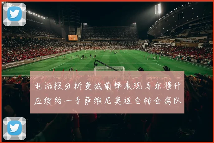 电讯报分析曼城前锋表现马尔穆什应续约一季萨维尼奥适合转会离队