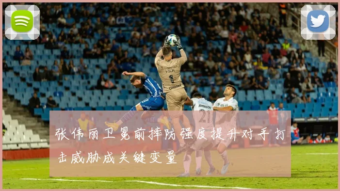 张伟丽卫冕前摔防强度提升对手打击威胁成关键变量