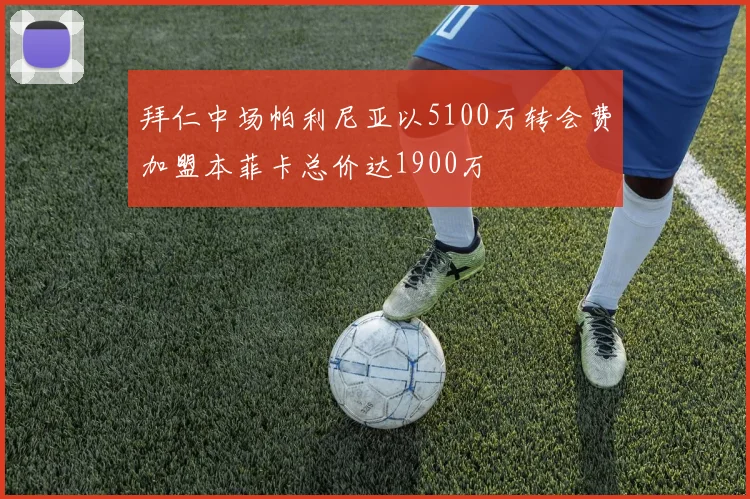 拜仁中场帕利尼亚以5100万转会费加盟本菲卡总价达1900万